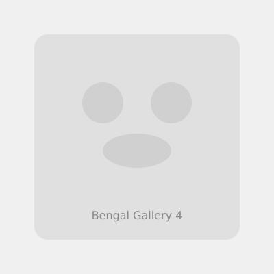 Happy family with Bengal