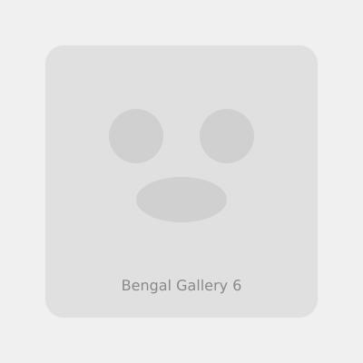 Bengal kitten with siblings